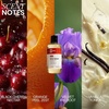 Her Fantasy Box | Body Splash Hydrating Body Oil (Pineapple Creme) – Moisturizing, Non-Greasy Formula for Soft, Smooth Skin – All-Natural, Lightweight & Nourishing(Yummy)